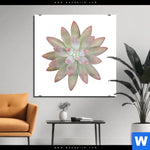 Acrylglasbild Sukkulente No 1 Quadrat Produktvorschau mit dem Bild Sukkulente No.1 im Format Quadrat.