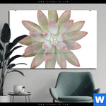 Acrylglasbild Sukkulente No 1 Querformat Produktvorschau mit dem Bild Sukkulente No.1 im Format Querformat.