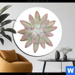 Acrylglasbild Sukkulente No 1 Rund Produktvorschau mit dem Bild Sukkulente No.1 im Format Rund.