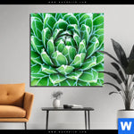 Acrylglasbild Tropische Pflanze Quadrat Produktvorschau mit dem Bild Tropische Pflanze im Format Quadrat.