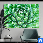 Acrylglasbild Tropische Pflanze Querformat Produktvorschau mit dem Bild Tropische Pflanze im Format Querformat.