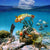 Acrylglasbild Tropische Unterwasserwelt Quadrat Motivvorschau