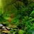 Acrylglasbild Tropischer Dschungel Hochformat