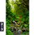 Acrylglasbild Tropischer Dschungel Hochformat Motivorschau Seitenverhaeltnis 2 3