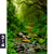 Acrylglasbild Tropischer Dschungel Hochformat Motivorschau Seitenverhaeltnis 3 4