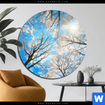 Acrylglasbild Wald Im Winter Rund Produktvorschau mit dem Bild Wald im Winter im Format Rund.