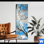 Acrylglasbild Wald Im Winter Schmal Produktvorschau mit dem Bild Wald im Winter im Format Schmal.