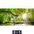 Acrylglasbild Wald Mit Bach Bei Sonnenschein Querformat Motivorschau Seitenverhaeltnis 2 1