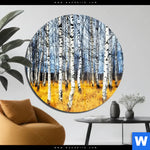 Acrylglasbild Wald Mit Birkenbaeumen Rund Produktvorschau mit dem Bild Wald mit Birkenbäumen im Format Rund.