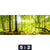 Acrylglasbild Wald Mit Sonnenstrahlen Panorama Motivorschau Seitenverhaeltnis 5 2