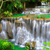 Acrylglasbild Wald Wasserfall No 6 Panorama