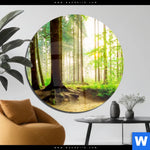 Acrylglasbild Waldpanorama Rund Produktvorschau mit dem Bild Waldpanorama im Format Rund.