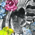 Acrylglasbild Zebra Blumen Querformat