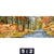 Acrylglasbild Zwei Hirsche Am Fluss Panorama Motivorschau Seitenverhaeltnis 5 2