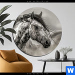 Alu Dibond Bild Das Pferd Wild Schoen Rund Produktvorschau mit dem Bild Das Pferd - wild & schön im Format Rund.