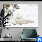 Alu Dibond Bild Eisbaerenfamilie In Winterlicher Landschaft Querformat Produktvorschau mit dem Bild Eisbärenfamilie in winterlicher Landschaft im Format Querformat.