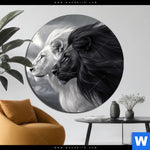 Alu Dibond Bild Kontrast Loewenkraft Rund Produktvorschau mit dem Bild Kontrast Löwenkraft im Format Rund.