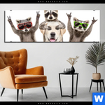 Alu Dibond Bild Lustige Waschbaeren Mit Hund Panorama Produktvorschau mit dem Bild Lustige Waschbären mit Hund im Format Panorama.