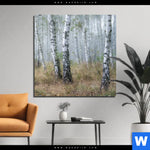Alu Dibond Bild Nebliger Morgen Im Birkenwald Quadrat Produktvorschau mit dem Bild Nebliger Morgen im Birkenwald im Format Quadrat.