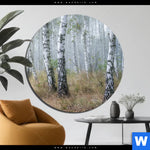 Alu Dibond Bild Nebliger Morgen Im Birkenwald Rund Produktvorschau mit dem Bild Nebliger Morgen im Birkenwald im Format Rund.