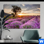 Alu Dibond Bild Sonnenaufgang Im Lavendelfeld Querformat Produktvorschau mit dem Bild Sonnenaufgang im Lavendelfeld im Format Querformat.