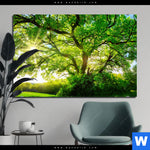 Alu Dibond Bild Sonnendurchfluteter Baum Querformat Produktvorschau mit dem Bild Sonnendurchfluteter Baum im Format Querformat.