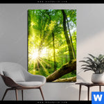 Alu Dibond Bild Sonnenstrahlen Im Dichten Wald Hochformat Produktvorschau mit dem Bild Sonnenstrahlen im dichten Wald im Format Hochformat.