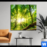 Alu Dibond Bild Sonnenstrahlen Im Dichten Wald Quadrat Produktvorschau mit dem Bild Sonnenstrahlen im dichten Wald im Format Quadrat.