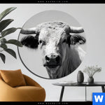 Alu Dibond Bild Weisser Bulle Rund Produktvorschau mit dem Bild Weisser Bulle im Format Rund.