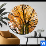 Aluminiumbild Gebürstet Alte Buche Rund Produktvorschau mit dem Bild Alte Buche im Format Rund.