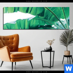 Aluminiumbild Gebürstet Bananenpalme Panorama Produktvorschau mit dem Bild Bananenpalme im Format Panorama.