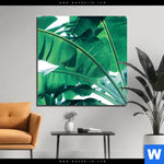 Aluminiumbild Gebürstet Bananenpalme Quadrat Produktvorschau mit dem Bild Bananenpalme im Format Quadrat.