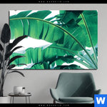 Aluminiumbild Gebürstet Bananenpalme Querformat Produktvorschau mit dem Bild Bananenpalme im Format Querformat.