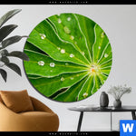 Aluminiumbild Gebürstet Blatt Mit Wassertropfen Rund Produktvorschau mit dem Bild Blatt mit Wassertropfen im Format Rund.
