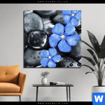 Aluminiumbild Gebürstet Blaue Blume Graue Steine Quadrat Produktvorschau mit dem Bild Blaue Blume & Graue Steine im Format Quadrat.