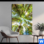 Aluminiumbild Gebürstet Blick In Baumkronen Hochformat Produktvorschau mit dem Bild Blick in Baumkronen im Format Hochformat.