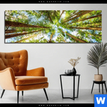 Aluminiumbild Gebürstet Blick In Baumkronen Panorama Produktvorschau mit dem Bild Blick in Baumkronen im Format Panorama.