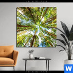 Aluminiumbild Gebürstet Blick In Baumkronen Quadrat Produktvorschau mit dem Bild Blick in Baumkronen im Format Quadrat.