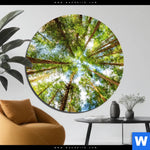 Aluminiumbild Gebürstet Blick In Baumkronen Rund Produktvorschau mit dem Bild Blick in Baumkronen im Format Rund.