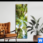 Aluminiumbild Gebürstet Blick In Baumkronen Schmal Produktvorschau mit dem Bild Blick in Baumkronen im Format Schmal.