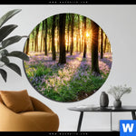 Aluminiumbild Gebürstet Bluehender Wald Bei Sonnenaufgang Rund Produktvorschau mit dem Bild Blühender Wald bei Sonnenaufgang im Format Rund.