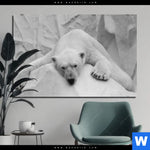 Aluminiumbild Gebürstet Der Eisbaer Querformat Produktvorschau mit dem Bild Der Eisbär im Format Querformat.