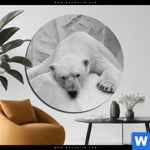 Aluminiumbild Gebürstet Der Eisbaer Rund Produktvorschau mit dem Bild Der Eisbär im Format Rund.