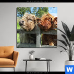 Aluminiumbild Gebürstet Drei Schottische Rinder Quadrat Produktvorschau mit dem Bild Drei Schottische Rinder im Format Quadrat.