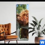 Aluminiumbild Gebürstet Drei Schottische Rinder Schmal Produktvorschau mit dem Bild Drei Schottische Rinder im Format Schmal.