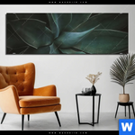 Aluminiumbild Gebürstet Dunkles Agavenblatt Panorama Produktvorschau mit dem Bild Dunkles Agavenblatt im Format Panorama.