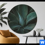 Aluminiumbild Gebürstet Dunkles Agavenblatt Rund Produktvorschau mit dem Bild Dunkles Agavenblatt im Format Rund.