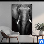 Aluminiumbild Gebürstet Elefant Schwarzweiss Hochformat Produktvorschau mit dem Bild Elefant Schwarzweiß im Format Hochformat.