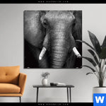 Aluminiumbild Gebürstet Elefant Schwarzweiss Quadrat Produktvorschau mit dem Bild Elefant Schwarzweiß im Format Quadrat.