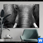 Aluminiumbild Gebürstet Elefant Schwarzweiss Querformat Produktvorschau mit dem Bild Elefant Schwarzweiß im Format Querformat.